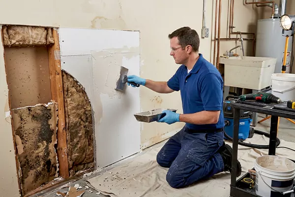 Mold and Drywall Repair Santa Ana