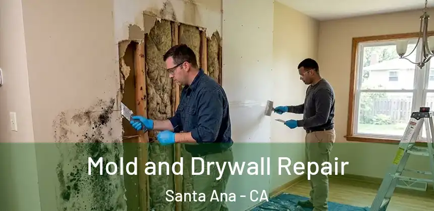  Mold and Drywall Repair Santa Ana - CA