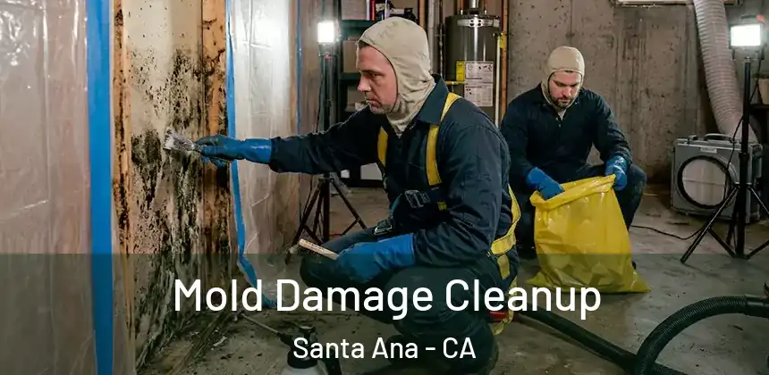  Mold Damage Cleanup Santa Ana - CA