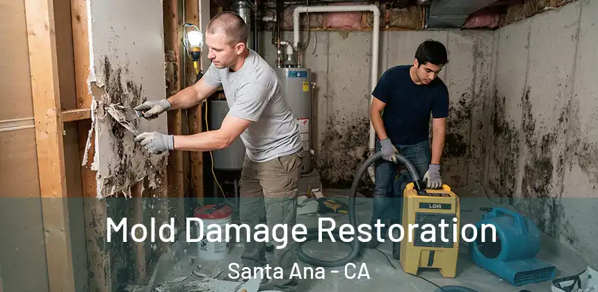 Mold Damage Restoration Santa Ana - CA