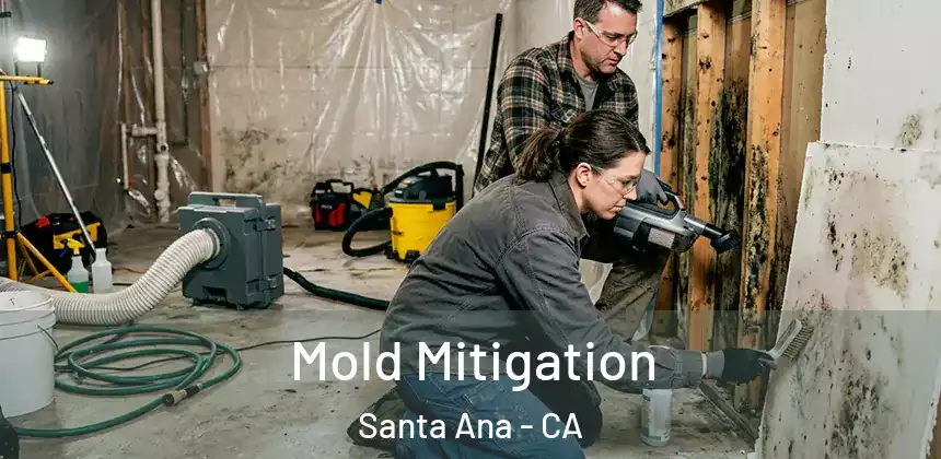 Mold Mitigation Santa Ana - CA
