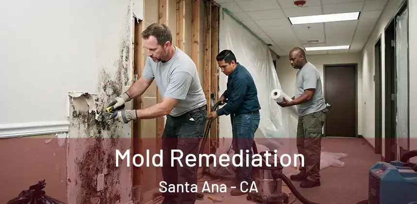 Mold Remediation Santa Ana - CA
