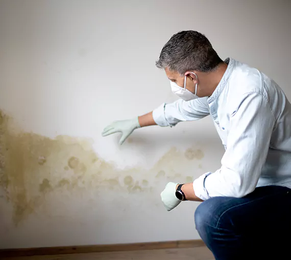 Mold Removal Service in Santa Ana, CA