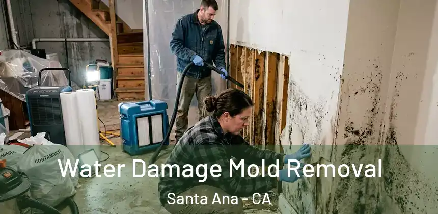 Water Damage Mold Removal Santa Ana - CA
